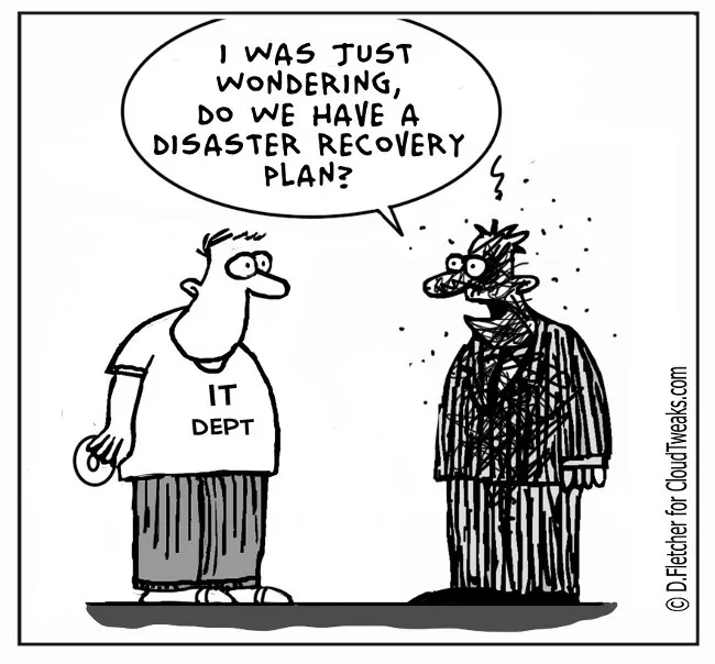 Disaster recovery cartoon