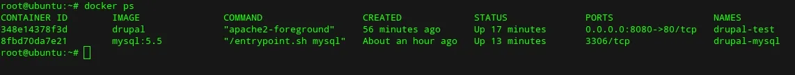 Docker ps output listing running containers