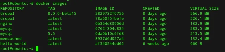 Docker images output listing available images